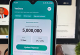 Jangan Asal Ajukan! Review VeeDana Apk, Cek Bunga, Limit dan Status OJK