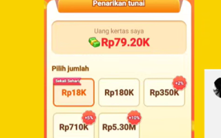 Trik Cara Penarikan Saldo di Game Crazy Food Tanpa Terkena Penggandaan