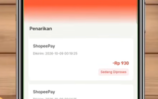 Review Aplikasi Novelvio, Apakah Terbukti Membayar atau Scam?